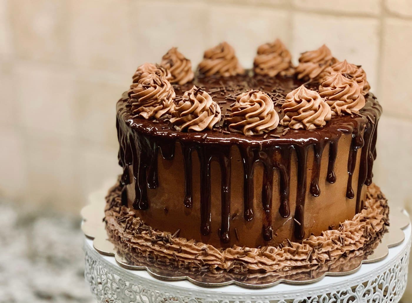 Belgian Chocolate Silk & Hazelnut Crunch